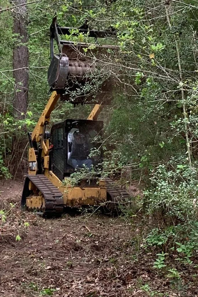 Tree Service project in Sparks