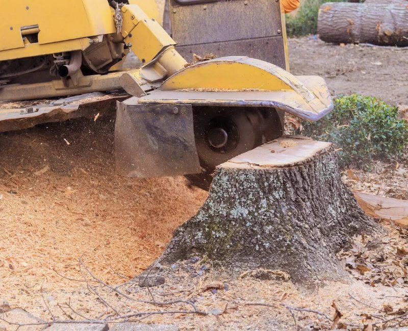 Tree Pruning in Sparks